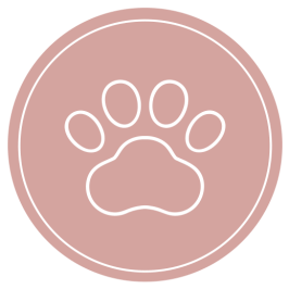 PLUME | Service à la Personne / Animaux
